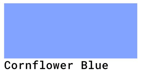 Cornflower Blue: The Meaning Behind TikTok's Vibrant Mascot Color